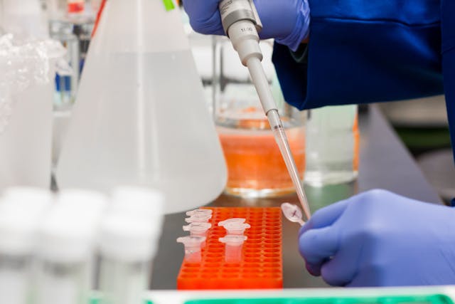 Incubateur laboratoire