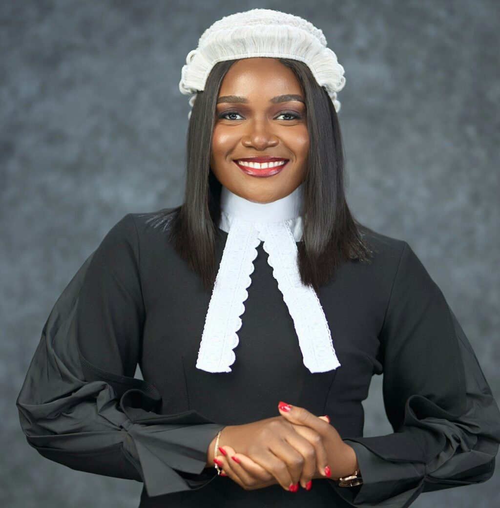 administrateur judiciaire